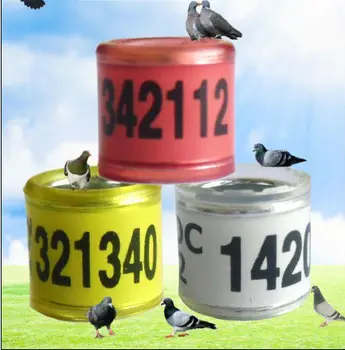 racing pigeons supplies