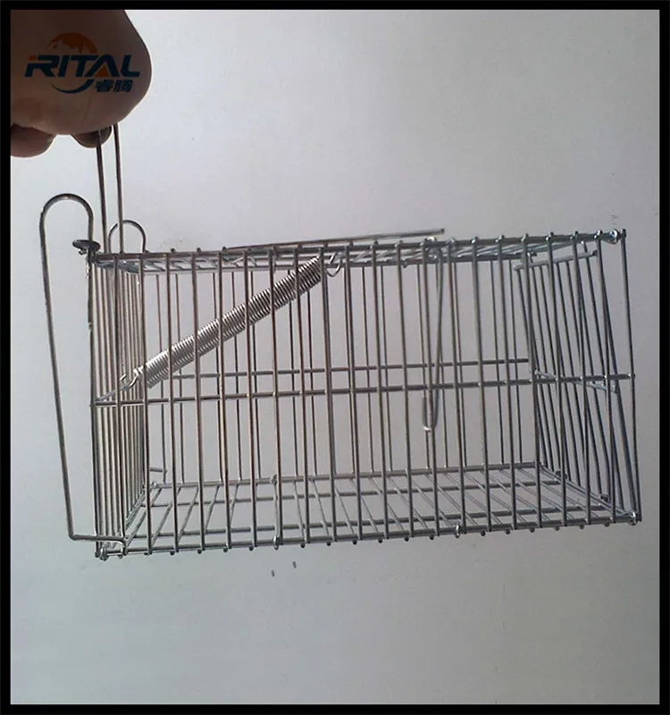 Cage De Survie Pour Petits Animaux 1 Piece Minnie Lapin Oiseau Chat Piege Pour La Chasse Buy Rat Piege Cage Acier Inoxydable Souris Piege Cage Martre Cage Piege Product On Alibaba Com