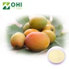 Sweet Mango Fruit Powder With Low Price/Natural Mango Fruit Extract/Mango Juice Concentrate In Bulk