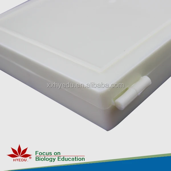 96 Hour Chick Embryo Serial Section