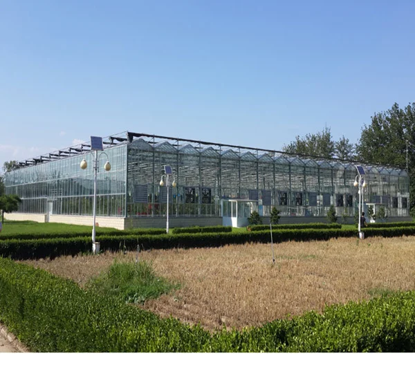 
Commercial Polycarbonate Venlo Greenhouse 