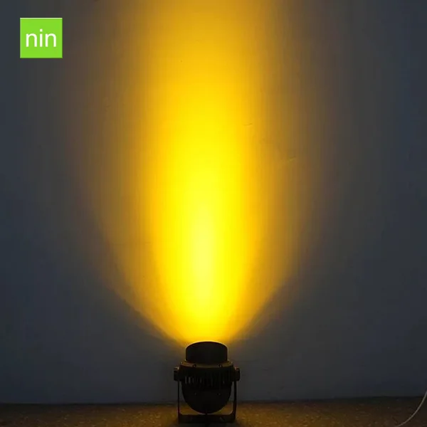 ninLED 20190113 (44).jpg