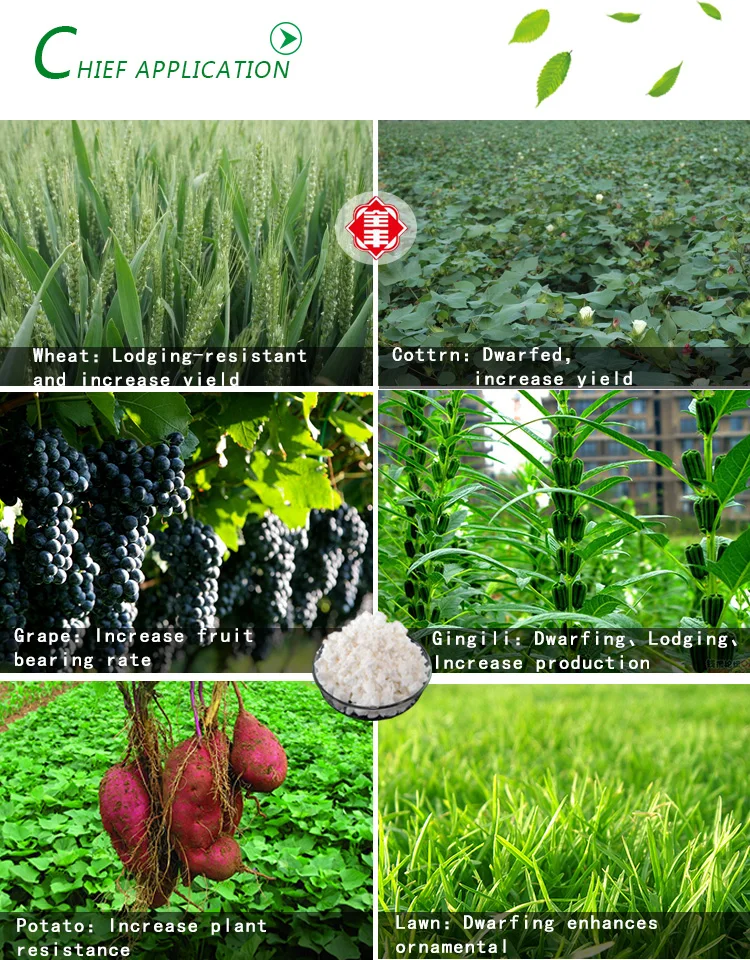Plant Growth Hormone Pgr 98tc Da6 Diethyl Aminoethyl Plant Growth Hormone Pgr 98tc Da6 Diethyl Aminoethyl