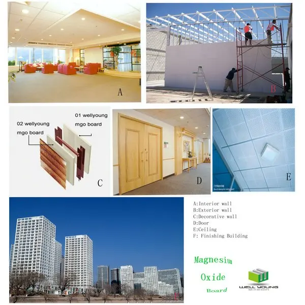 wellyoung mgo apply 600