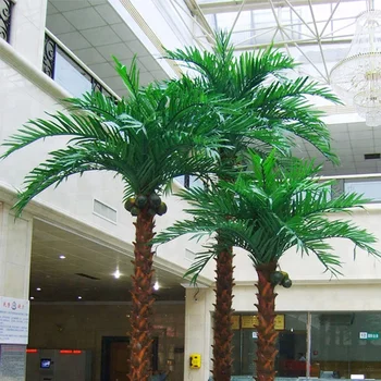 Palm Tree Canada  Popular Indoor  Or Outdoor Decorative 