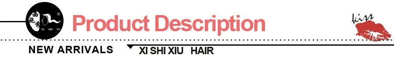 XISHIXIUBRAND 2018 Cheap price synthetic hair wig for black woman