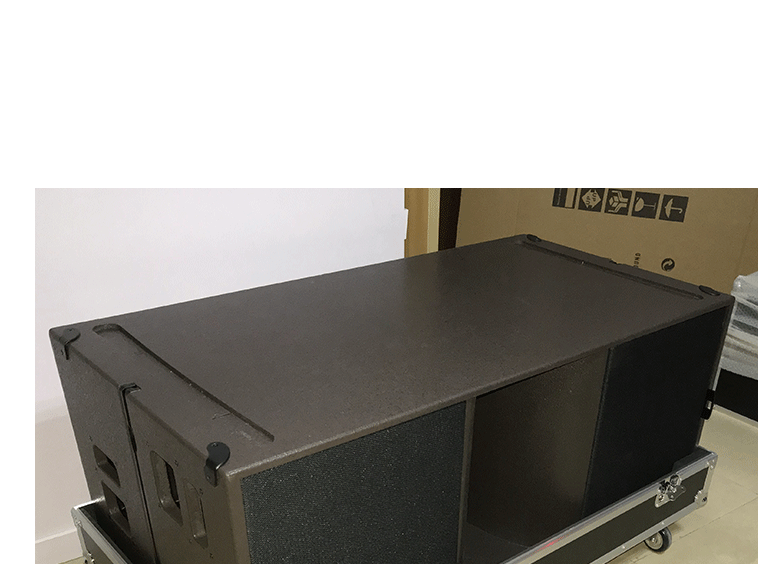 Ks28 Pro Audio Array Subbass Dual 18 Inch Speaker Empty Subwoofer