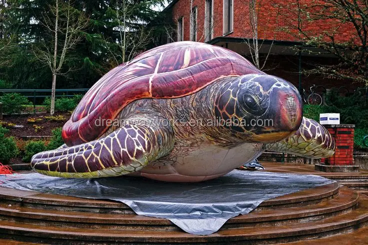 turtle.jpg