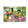 Free samples high quality custom 3d lenticular print postcard