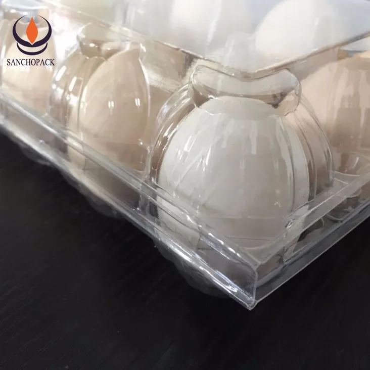 Wholesale Clear Plastic Big Bulk Duck Custom Printed Egg Cartons For