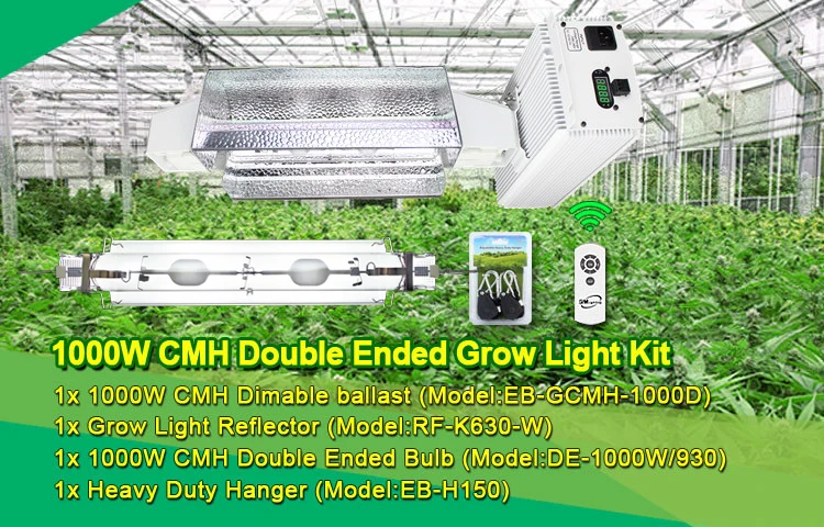 Details about   CMH/HPS HID Ballast Electronic Low Frequency For Agriculture Hydroponic System 