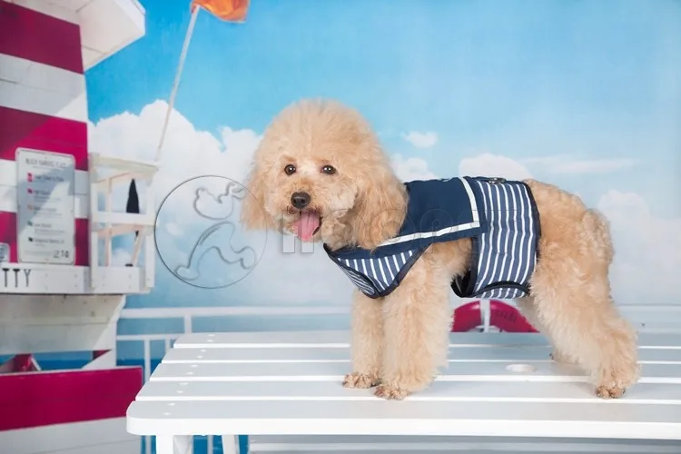 New Design Awesome Boxer Dog Clothing Buy Boxer Dog Clothing,Pet