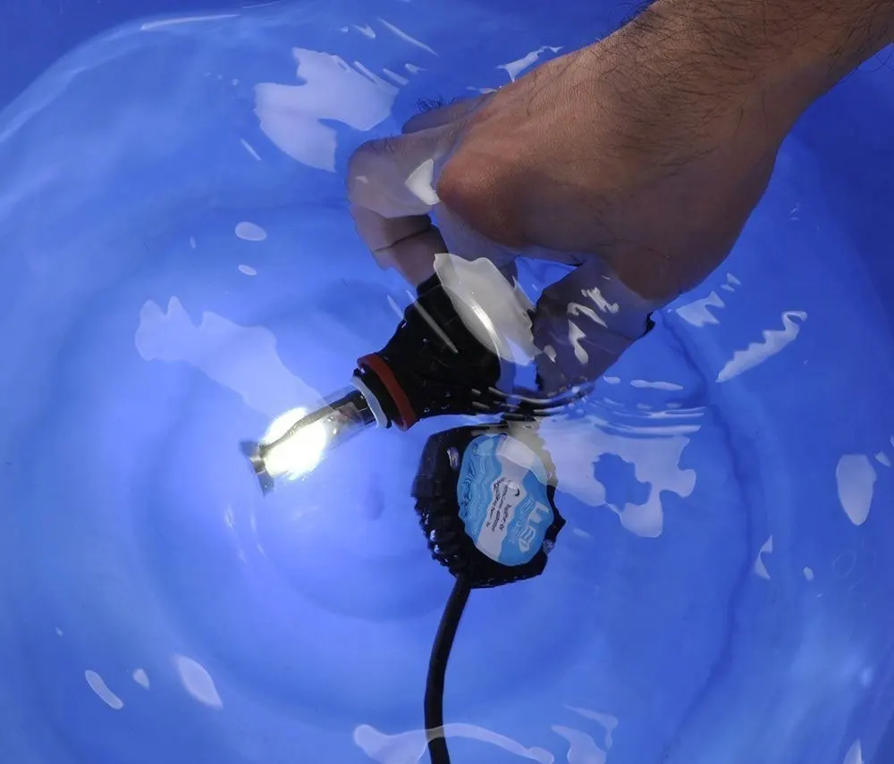 HTB1L8biJFXXXXbTXFXXq6xXFXXXa