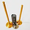 race performance car components Engine Valve for TB48 4.8L 24V DOHC Engine Intake and Exhaust OEM No.13201-VC200 13202-VC200
