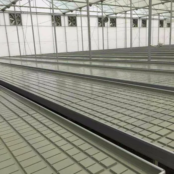 Plant Growth Plastic Hydroponic Ebb And Flow Bench Seed Tray View