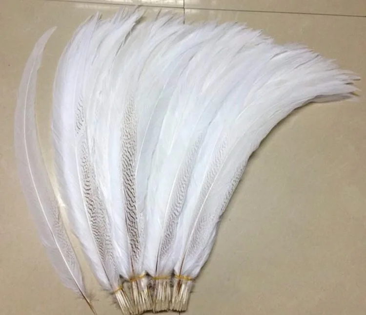 15-20cm Lady Amherst Pheasant Feathers For Carnival Costume - Buy ...