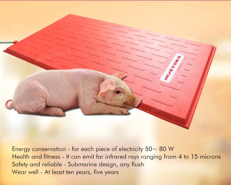 Poultry Equipment Animal Heat Board Piglet Electric Heating Plate Buy