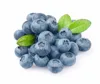 Cyanidin Extract Bilberry anthocyanidin Powder Blueberry P.E.