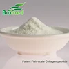 Hydrolyzed Fish-scale Collagen skin care