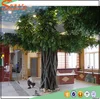 Latest design import plastic evergreen tree and indoor artificial ornamental plants