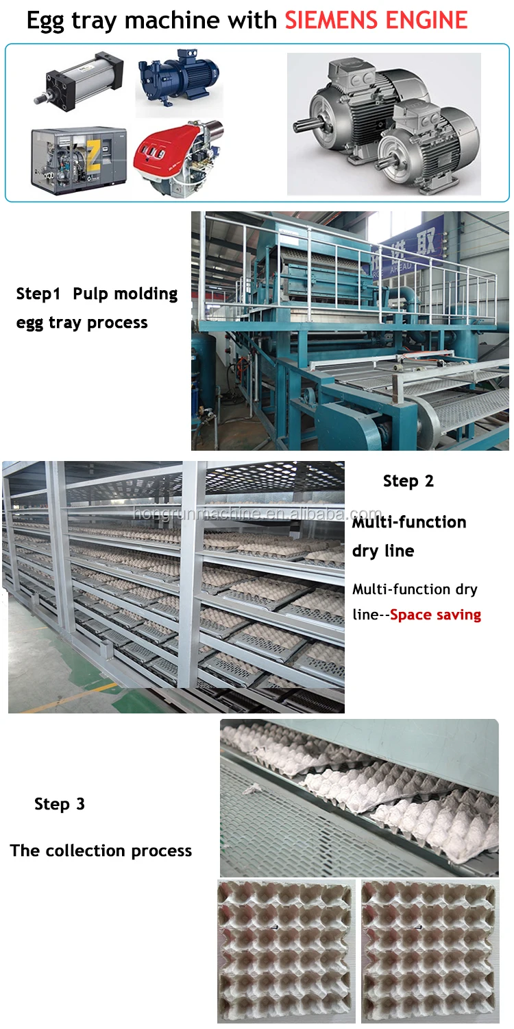 Duck Eggs 6000pcs/hr Capacity Egg Tray Machines To Make Plastic Egg