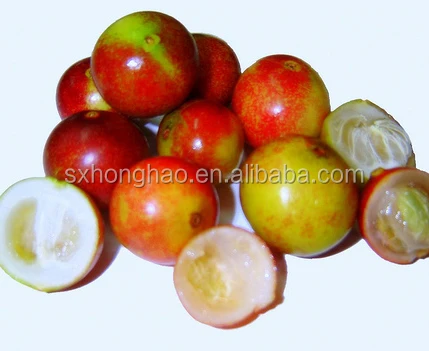 camu powder fruit pure natural