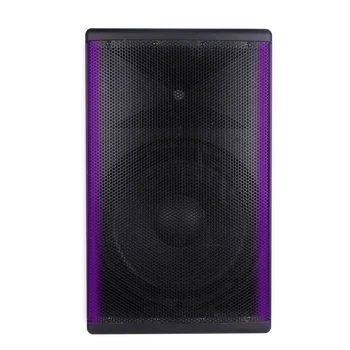 12 inch sound