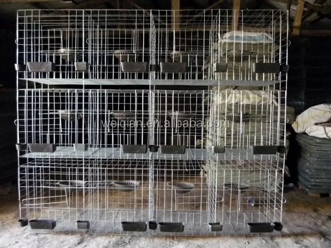 Cage For Sale Automatic Chicken Layer Cage For Sale In Philippines 