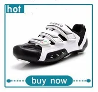 HTB1OG9sRXXXXXahXXXXq6xXFXXXi