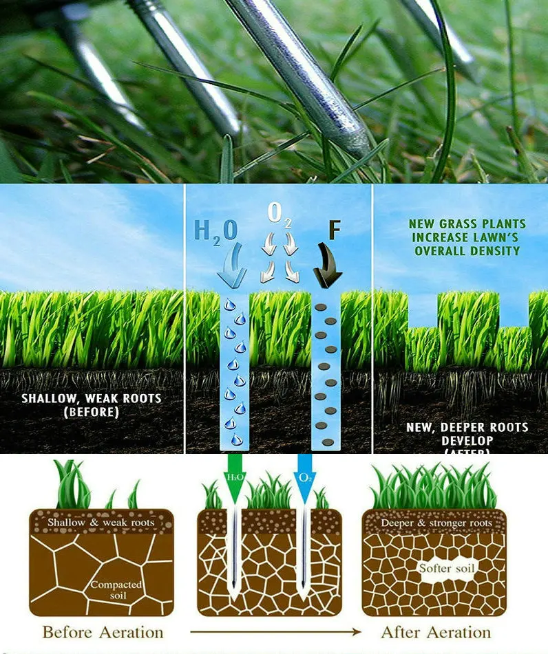 аэрация почвы это. аэрация почвы. аэрация почвы это. аэрация почвы это. первые всходы газонной травы.