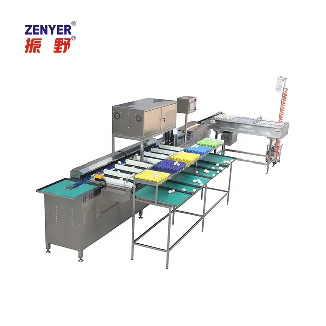
ZENYER 104B egg grading sorting machine with vacuum egg lifter 