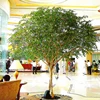 Large Landscaping Evergreen Ornamental Banyan Tree Decorative Artificial Plant