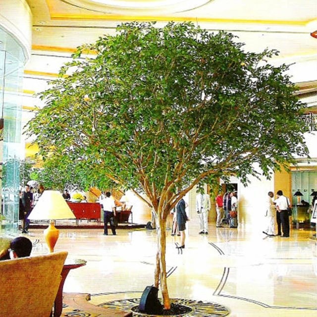 Large Landscaping Evergreen Ornamental Banyan Tree Decorative