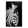 Modern Super Realistic Animal Designs Wall Decoration Art Oil Painting of Zebra
