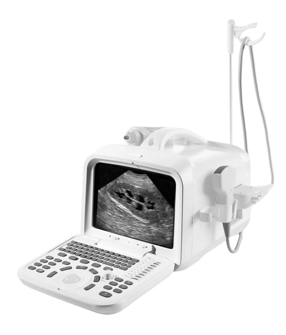 Cattle Breeding Test Veterinary Handheld Ultrasound Scanner Pregnancy