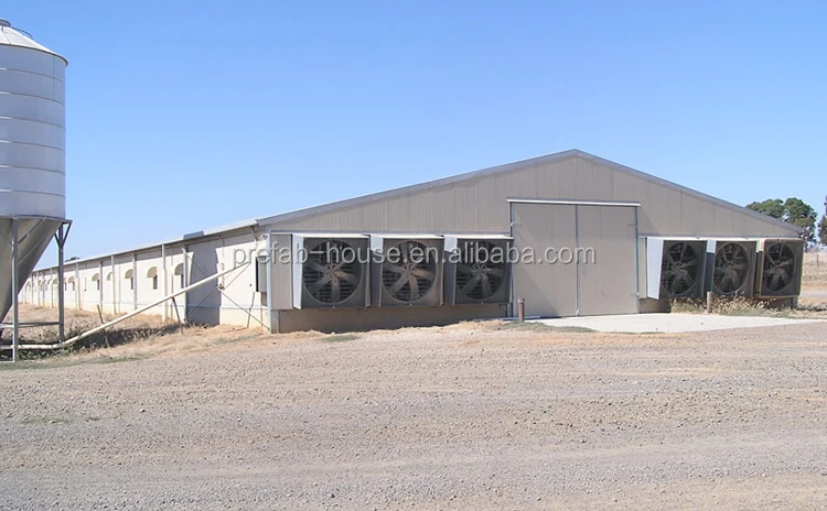 Light Steel Frame Structures use for chicken shed, steel house,