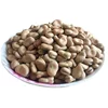 Free Sample High Quality Wholesale Cheap price Natural Faba Bean broad beans