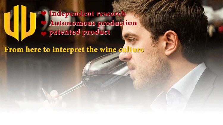 Multi-Smart Wine Aerator Dispenser Rechargeable Wine Decanter