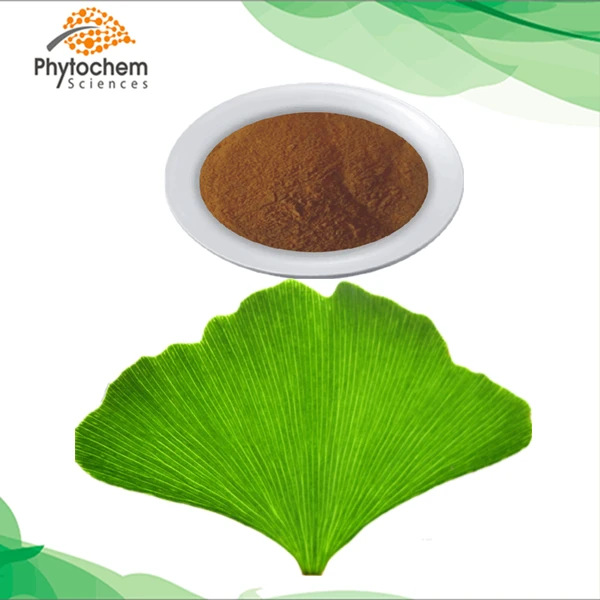 ginkgo biloba (26).jpg