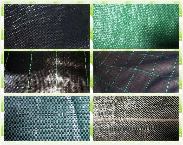 100% PP Woven Agriculture Ground Cover/Mulch Film/Weed Mat