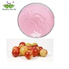 Factory supply Camu extract Vitamin C 20% 5:1 Myrciaria dubia extract 10:1 Camu Camu Fruit Powder
