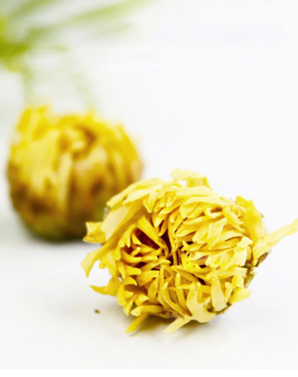 Chinese Herb Chrysanthemum Buds/top Sales Dried Yellow Chrysanthemum