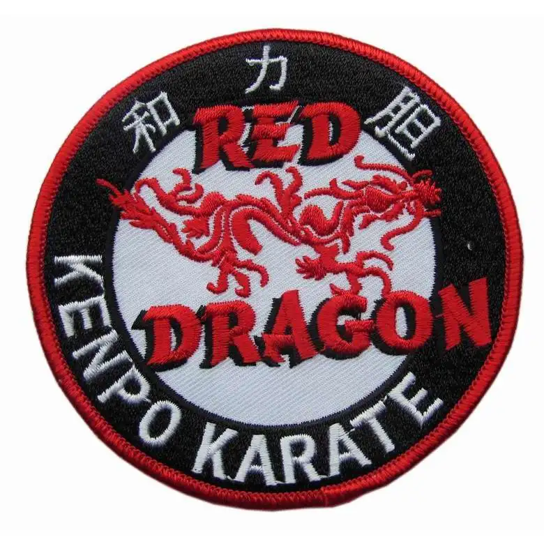 Каратэ дракон. Карате Red Dragon. Клуб каратэ золотой дракон. Китайский дракон каратэ. Каратэ дракон Тула.