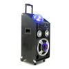 2018 active audio amplifier 10 inch subwoofer trolley portable