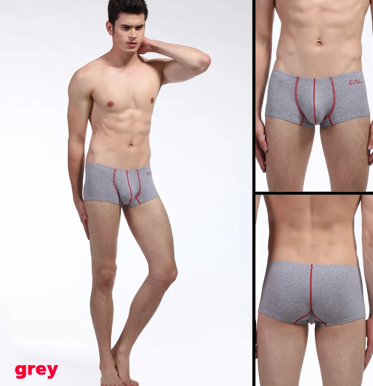 Gay Male See Thru Underwear 96