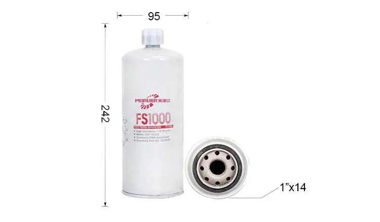 FS1000.jpg