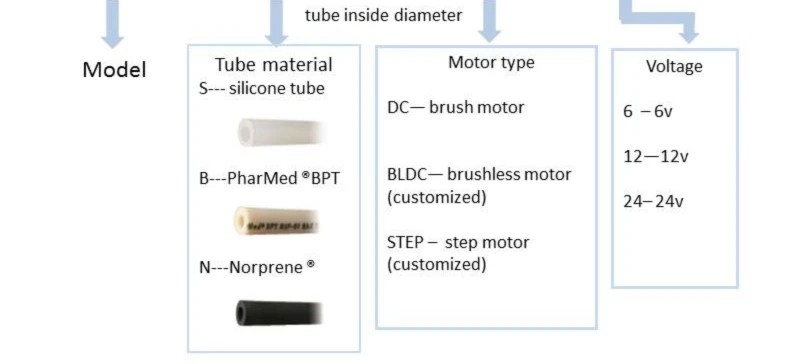 YW01 introduction_11.jpg