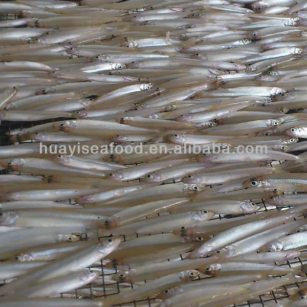 High Quality Frozen Whole Lake Smelt Buy Frozen Whole Lake Smelt,Lake