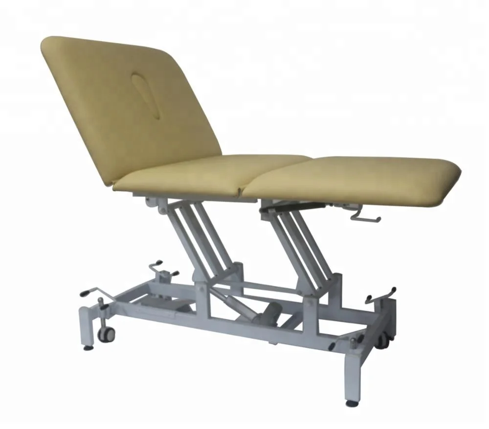 Portable Salon Equipment Newest Electric Esthetician Facial Bed For