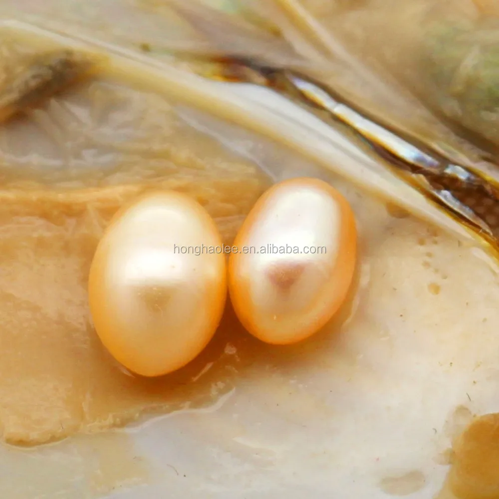 Do all oysters have pearls